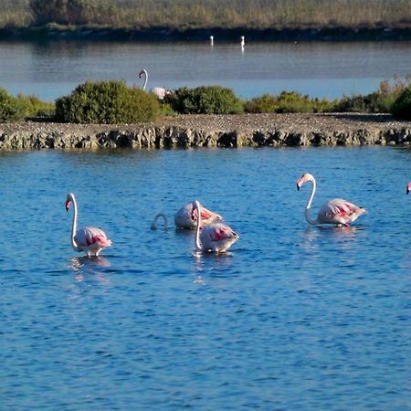 Apartamento Salamanca 4 En Santa Pola Exteriör bild